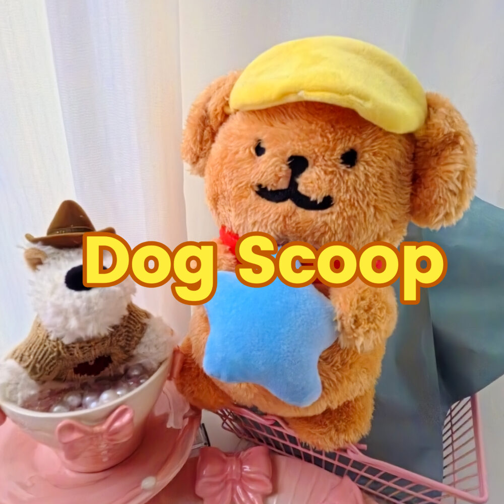 【Dog LUCKY SCOOPS】– Surprise Capsule Pack